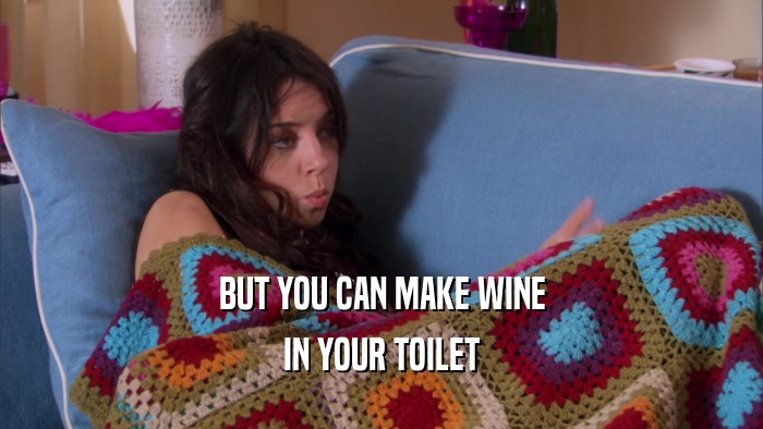 BUT YOU CAN MAKE WINE IN YOUR TOILET 