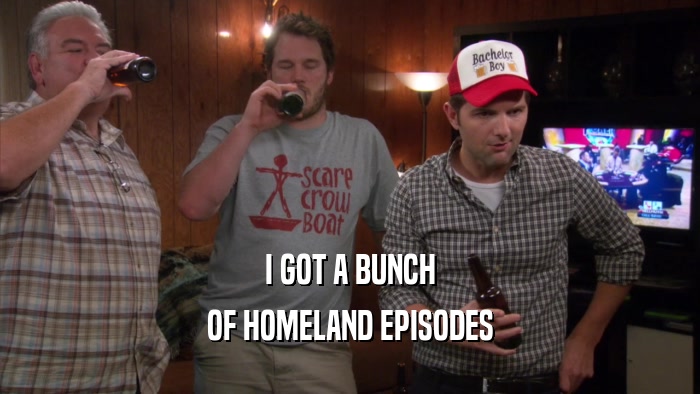 I GOT A BUNCH OF HOMELAND EPISODES 