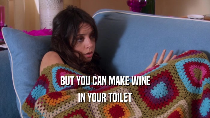 BUT YOU CAN MAKE WINE IN YOUR TOILET 
