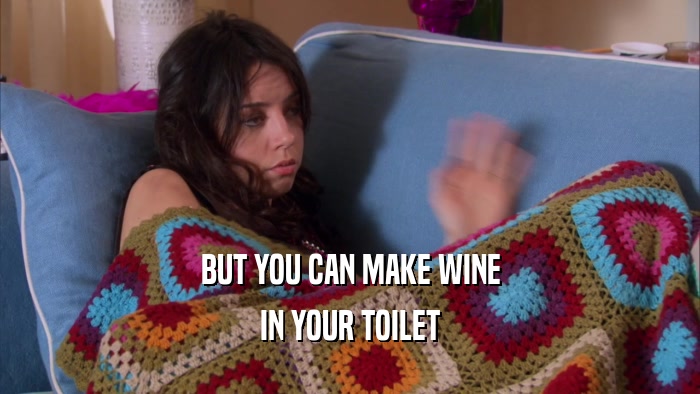 BUT YOU CAN MAKE WINE IN YOUR TOILET 