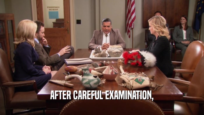 AFTER CAREFUL EXAMINATION,  