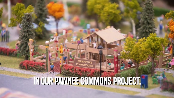 IN OUR PAWNEE COMMONS PROJECT.  