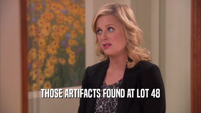 THOSE ARTIFACTS FOUND AT LOT 48  