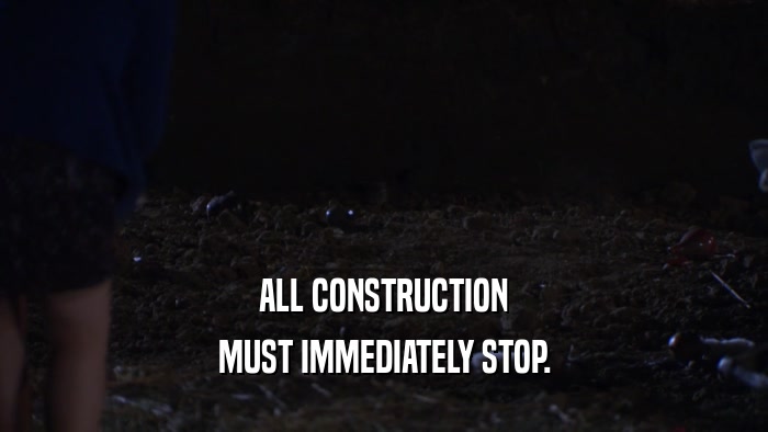 ALL CONSTRUCTION MUST IMMEDIATELY STOP. 