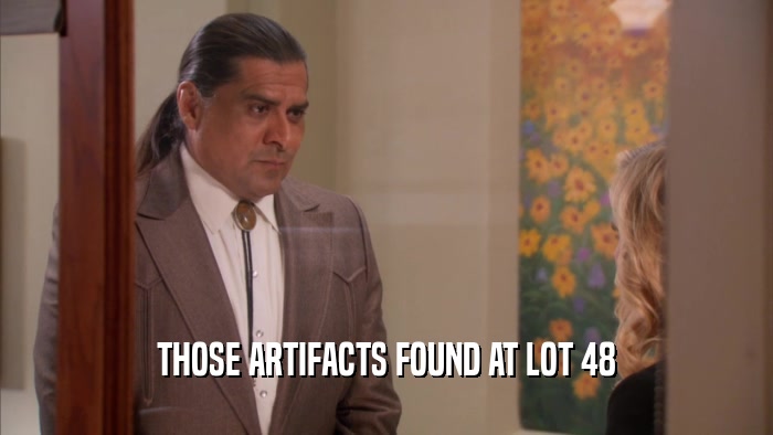 THOSE ARTIFACTS FOUND AT LOT 48  