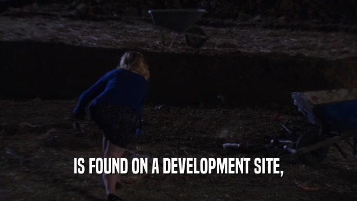 IS FOUND ON A DEVELOPMENT SITE,  