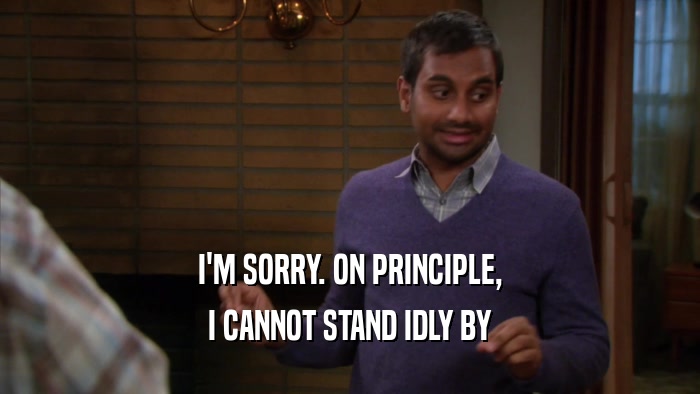 I'M SORRY. ON PRINCIPLE, I CANNOT STAND IDLY BY 