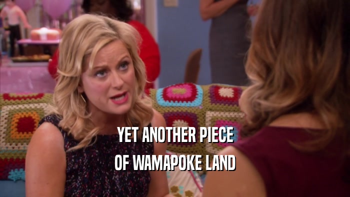 YET ANOTHER PIECE OF WAMAPOKE LAND 