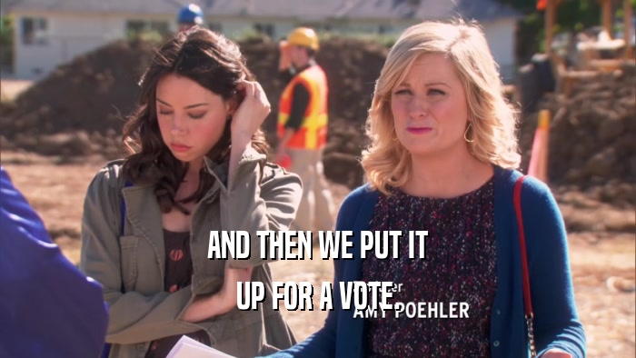 AND THEN WE PUT IT UP FOR A VOTE. 