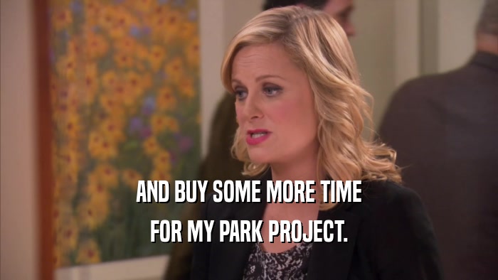 AND BUY SOME MORE TIME FOR MY PARK PROJECT. 