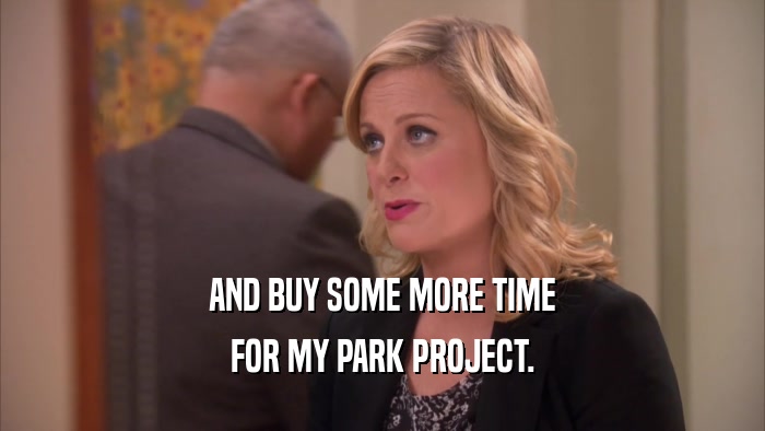 AND BUY SOME MORE TIME FOR MY PARK PROJECT. 
