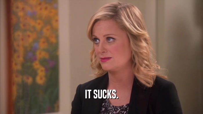 IT SUCKS.  