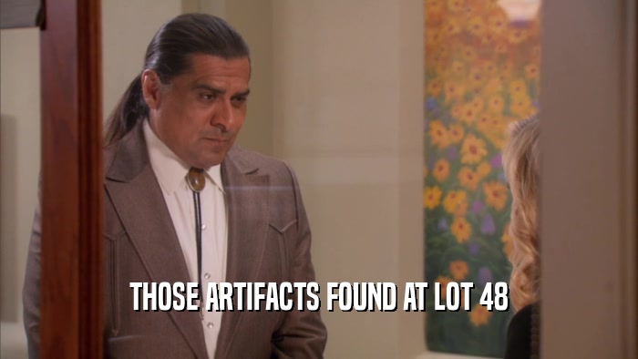 THOSE ARTIFACTS FOUND AT LOT 48  