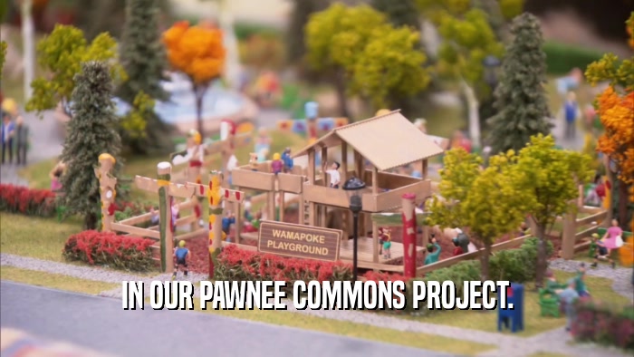IN OUR PAWNEE COMMONS PROJECT.  
