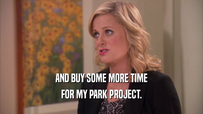AND BUY SOME MORE TIME FOR MY PARK PROJECT. 