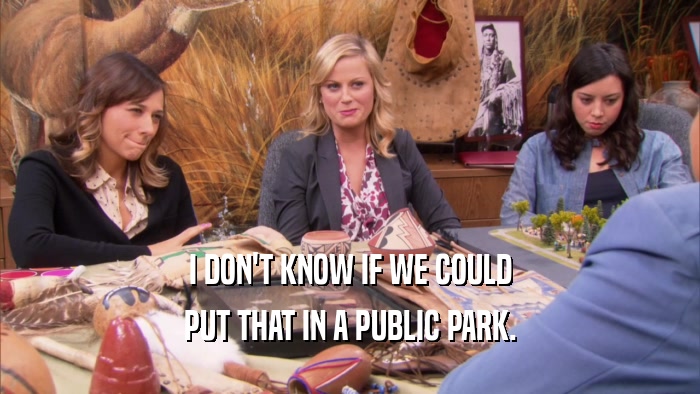 I DON'T KNOW IF WE COULD PUT THAT IN A PUBLIC PARK. 