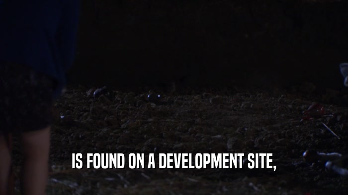 IS FOUND ON A DEVELOPMENT SITE,  