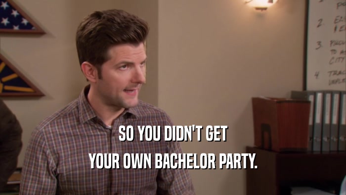 SO YOU DIDN'T GET YOUR OWN BACHELOR PARTY. 