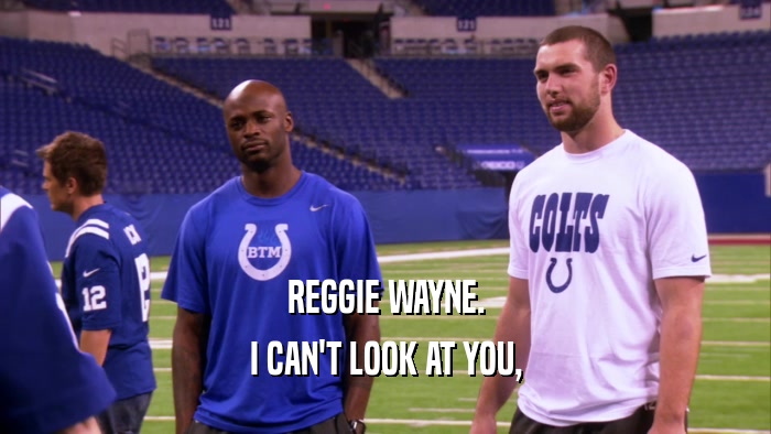 REGGIE WAYNE. I CAN'T LOOK AT YOU, 
