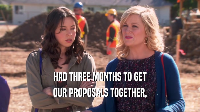 HAD THREE MONTHS TO GET OUR PROPOSALS TOGETHER, 