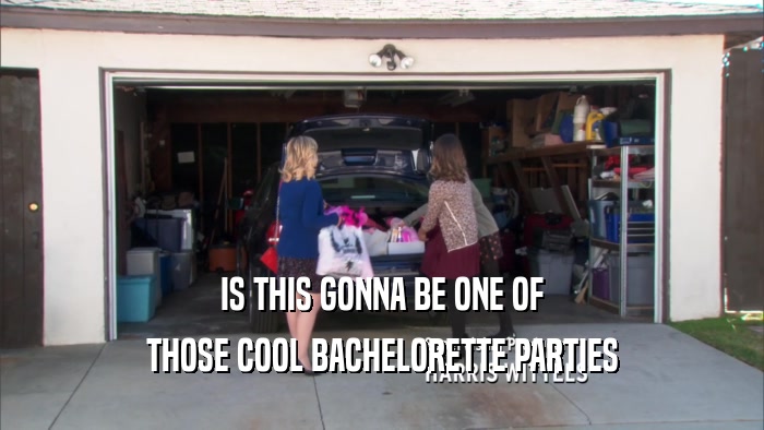 IS THIS GONNA BE ONE OF THOSE COOL BACHELORETTE PARTIES 