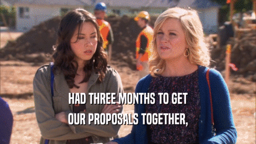 HAD THREE MONTHS TO GET OUR PROPOSALS TOGETHER, 