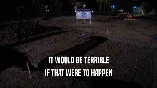IT WOULD BE TERRIBLE IF THAT WERE TO HAPPEN 