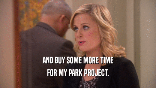 AND BUY SOME MORE TIME FOR MY PARK PROJECT. 