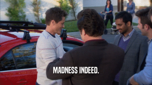 MADNESS INDEED.  