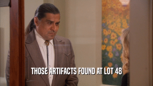 THOSE ARTIFACTS FOUND AT LOT 48  