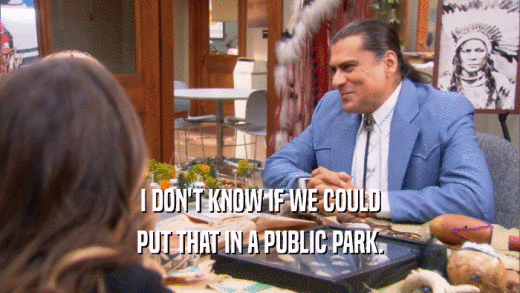I DON'T KNOW IF WE COULD PUT THAT IN A PUBLIC PARK. 