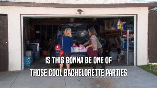 IS THIS GONNA BE ONE OF THOSE COOL BACHELORETTE PARTIES 