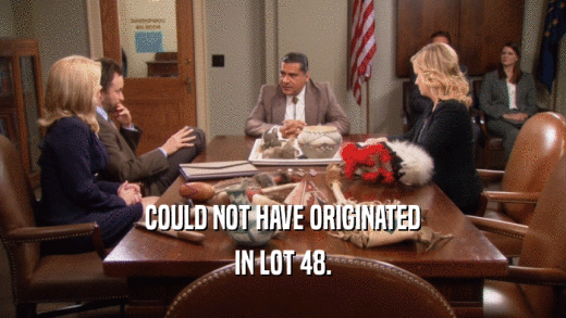 COULD NOT HAVE ORIGINATED IN LOT 48. 