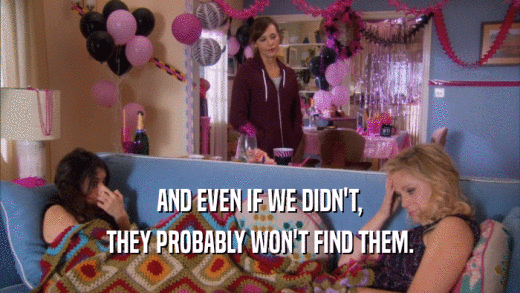 AND EVEN IF WE DIDN'T, THEY PROBABLY WON'T FIND THEM. 