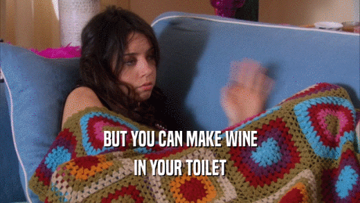 BUT YOU CAN MAKE WINE IN YOUR TOILET 