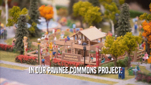 IN OUR PAWNEE COMMONS PROJECT.  