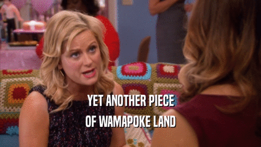 YET ANOTHER PIECE OF WAMAPOKE LAND 