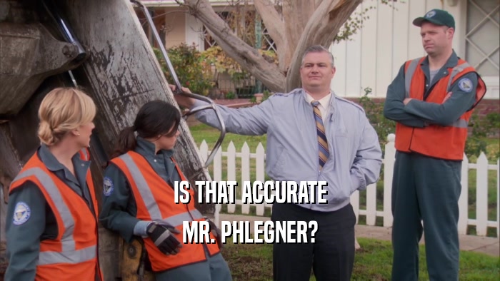IS THAT ACCURATE MR. PHLEGNER? 