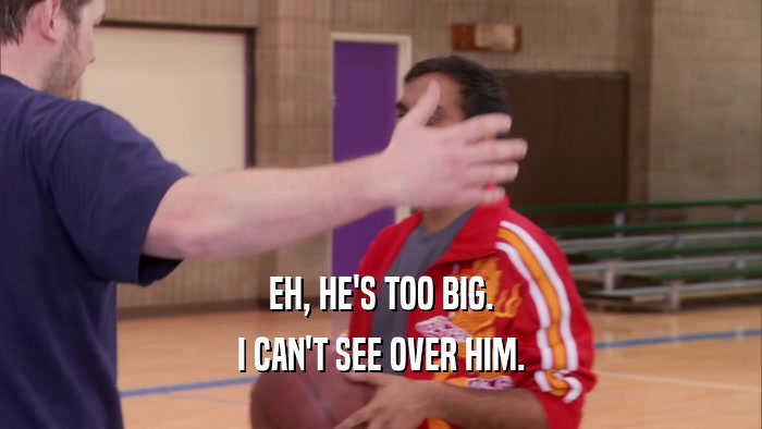 EH, HE'S TOO BIG. I CAN'T SEE OVER HIM. 