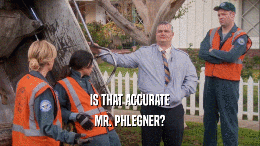 IS THAT ACCURATE MR. PHLEGNER? 