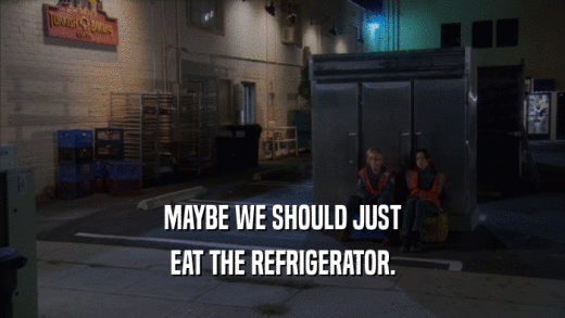 MAYBE WE SHOULD JUST
 EAT THE REFRIGERATOR.
 