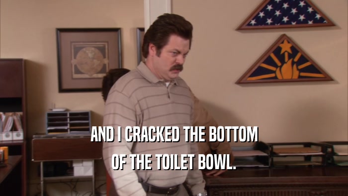 AND I CRACKED THE BOTTOM OF THE TOILET BOWL. 