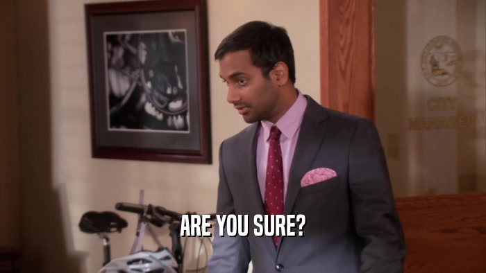 ARE YOU SURE?  
