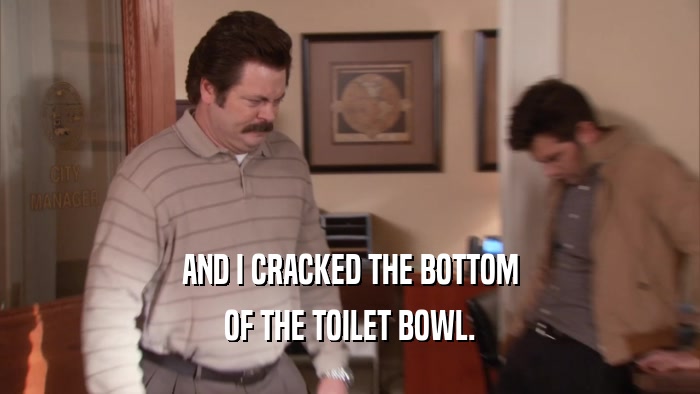 AND I CRACKED THE BOTTOM OF THE TOILET BOWL. 