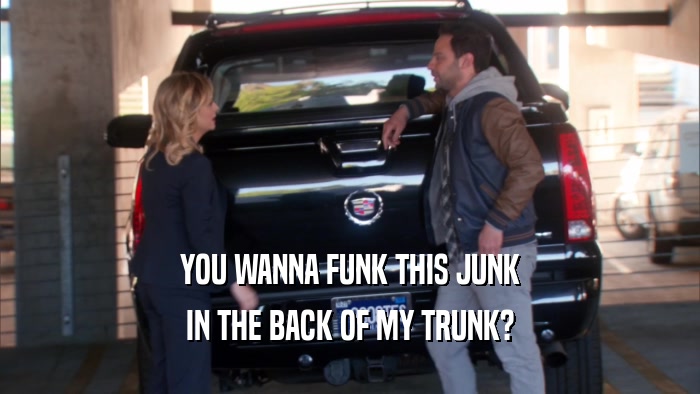 YOU WANNA FUNK THIS JUNK IN THE BACK OF MY TRUNK? 