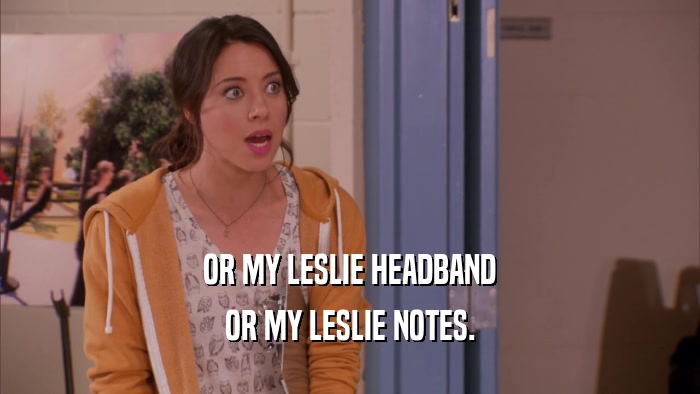 OR MY LESLIE HEADBAND OR MY LESLIE NOTES. 
