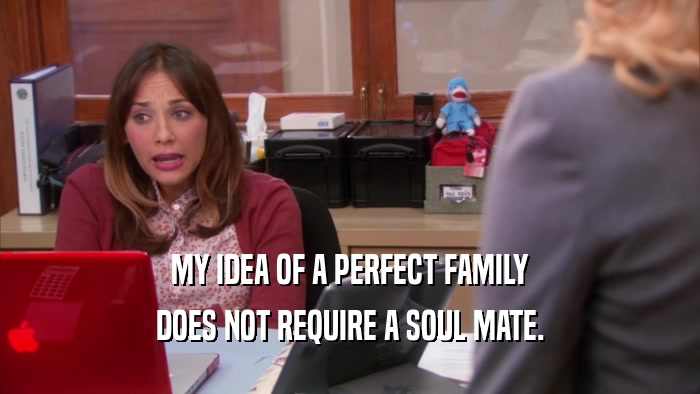 MY IDEA OF A PERFECT FAMILY DOES NOT REQUIRE A SOUL MATE. 