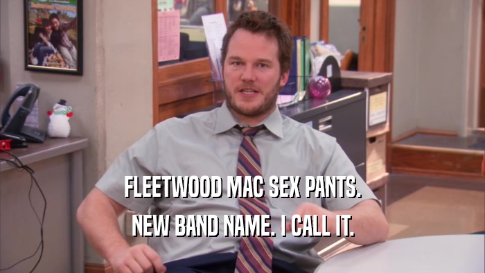 FLEETWOOD MAC SEX PANTS. NEW BAND NAME. I CALL IT. 