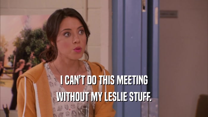 I CAN'T DO THIS MEETING WITHOUT MY LESLIE STUFF. 