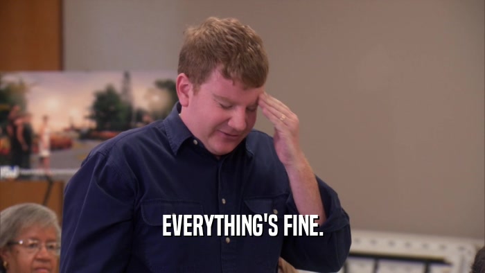 EVERYTHING'S FINE.  